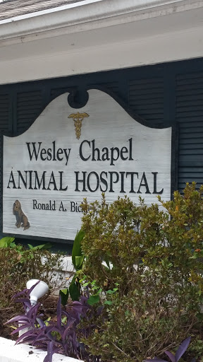 Animal Hospital «Wesley Chapel Animal Hospital», reviews and photos