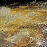 Olha a limpidez da água no  incrível Caño Cristales - La  Macarena, Colômbia