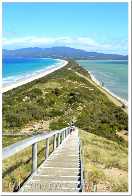 Bruny Island: The Neck~How Many More Minutes?