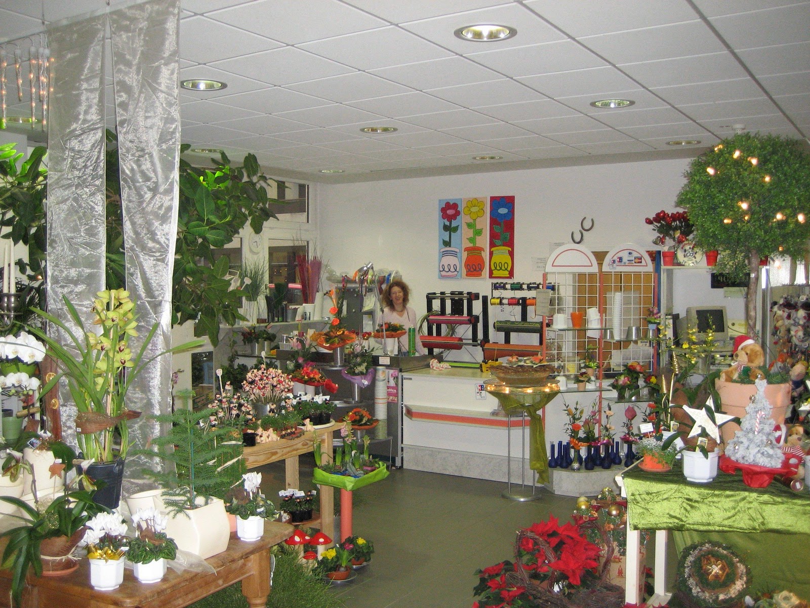 Flower Shop,Find A Florist