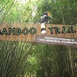 Entering the Bamboo Trail at the Nashville Zoo 09032011