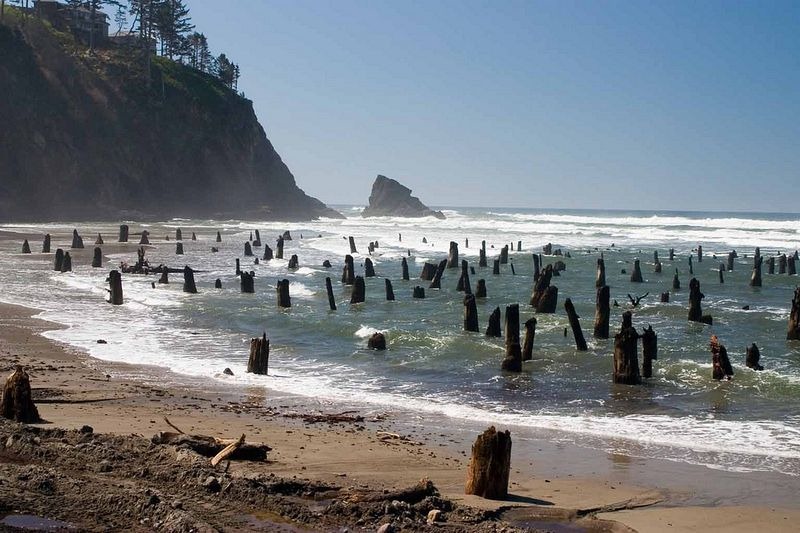 neskowin-ghost-forest-3