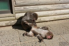 IMG_7878 IMG_7878