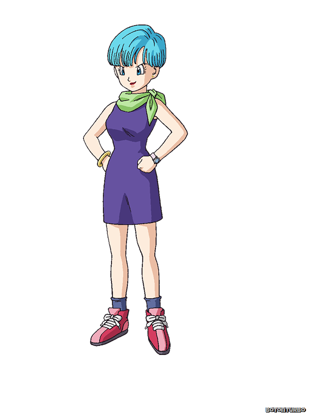 [Bulma%2520%25281%2529%255B5%255D.png]