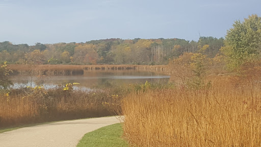 Nature Preserve «McDonald Woods Forest Preserve», reviews and photos, 19611 W Grass Lake Rd, Lake Villa, IL 60046, USA