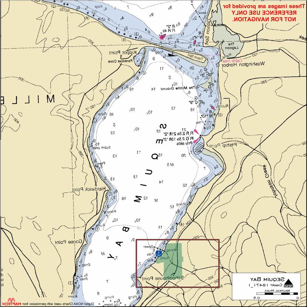 Moorage at Washington State