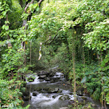 Road to Hana -  Maui, Havaí, EUA