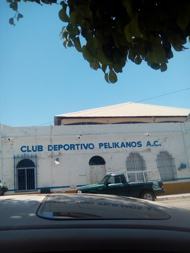 Club Deportivo Peli-kanos, 20 de Noviembre Sn, El Rosario Centro, 82800 Rosario, Sin., México, Actividades recreativas | SIN