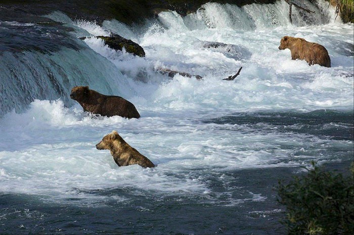 [katmai-osos%255B5%255D.jpg]