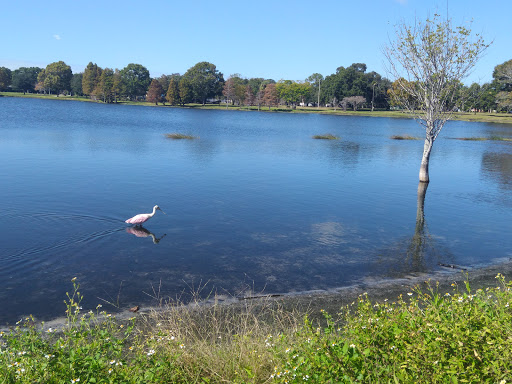 Park «Crest Lake Park», reviews and photos, 201 S Glenwood Ave, Clearwater, FL 33755, USA