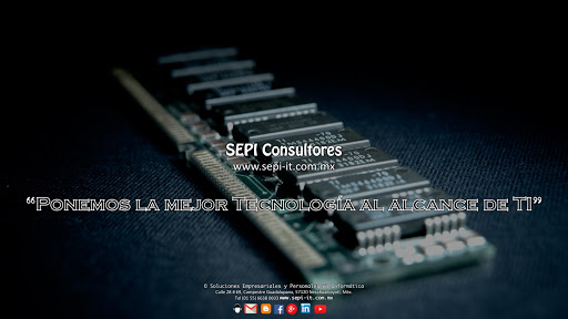 SEPI Consultores S.A. de C.V., Calle 28 69, Campestre Guadalupana, 57120 Nezahualcóyotl, Méx., México, Consultor informático | EDOMEX