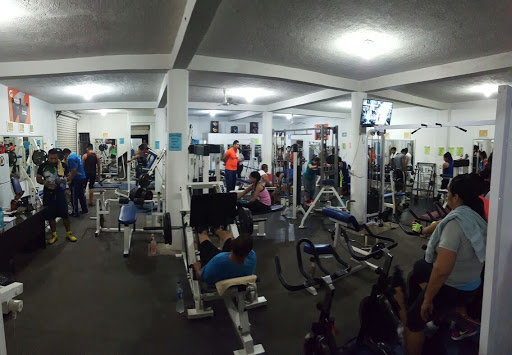 Hércules Gym, Coquizadora 9, Napoleón Gómez Sada, Luis Donaldo Colosio, 60950 Lázaro Cárdenas, Mich., México, Programa de acondicionamiento físico | MICH