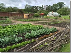 Orwell gardens at Fort Ti