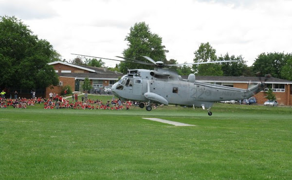 sea king at Curtin primary