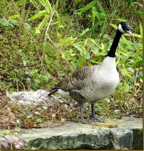 IMG_4247 IMG_4247