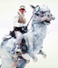 Tauntaun