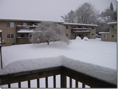 IMG_4839 Snow in Milwaukie, Oregon on December 22, 2008