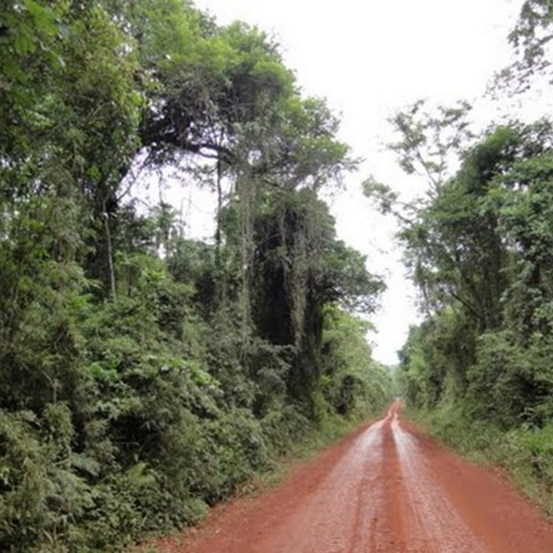 El Parque provincial Yacuy es un área natural protegida de la provincia de Misiones.