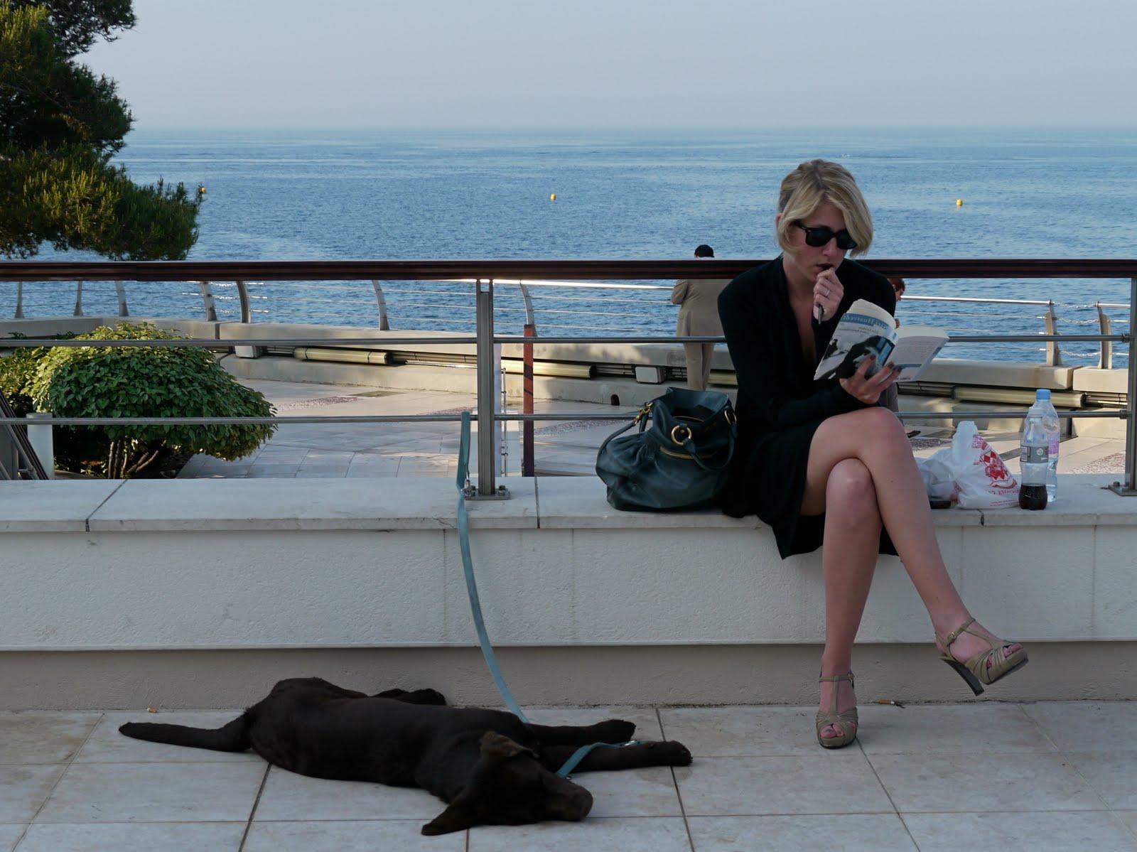 dog and the Mediterranean