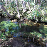 Caño Cristales -  La  Macarena, Colômbia