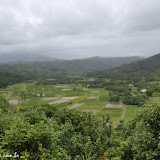 Hanalei Valley e as plantações de taro -  Kauai, Havaí, EUA