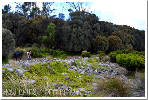 Walk to Grass Point, Bruny Island, TAS ~ How Many More Minutes?