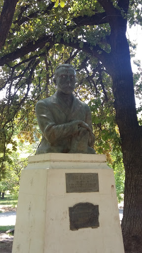 Busto En El  Parque