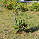 Argostoli. Argostoli.