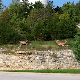 Our trip to Branson MO 08102012-06