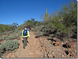 Surprise AZ 1st hike Wild Burro trail 038