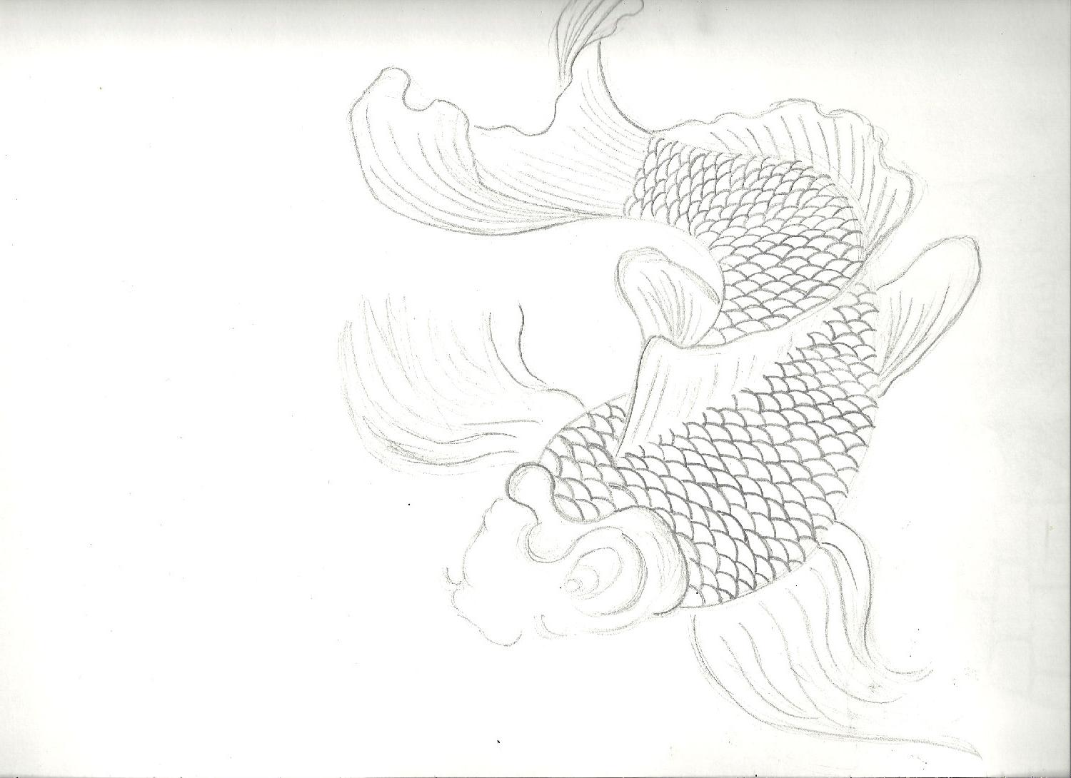japanese koi fish drawing