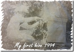 1994First Hive