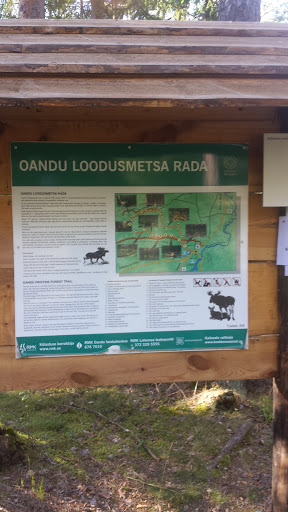 Oandu Loodusmetsa Rada