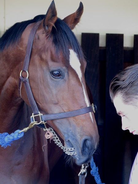 highland reel_stalls 2