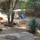Jeff, Bryan and Hannah looking at the meerkats at the Nashville Zoo 09032011