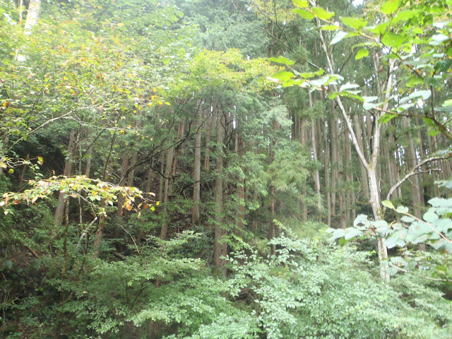P8230031.JPG