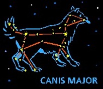 canis major