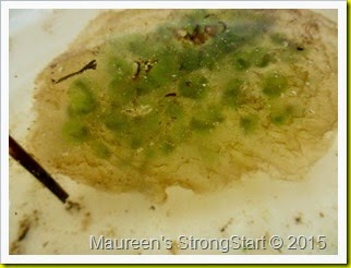 IMG_5103 IMG_5103