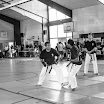 web_IMG_4557-victoria-facella-photographie-karate-club-puilboreau-saint-xandre-demonstration-defense-training-adulte .jpg