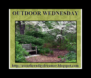 Outdoor-Wednesday-logo_thumb4_thumb1