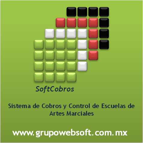 Grupo WebSoft, Carretera -Teapa Km 15, Villahermosa-Teapa, Fracc. Parrilla II, 86280 Villahermosa, Tab., México, Diseñador de sitios web | TAB