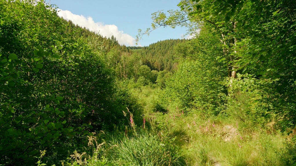 Sortie du 25/06/2014 %5BUNSET%5D