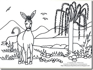 burro (2)