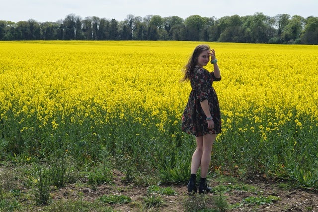 girl wearing a dress in yellow field