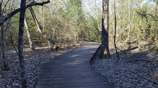 Park «Edith L Moore Nature Sanctuary», reviews and photos, 440 Wilchester Blvd, Houston, TX 77079, USA