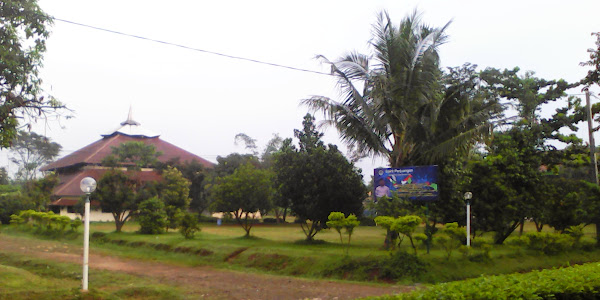 Trip to Depok: Serba Pertama, Damri, dan Tukang Ojek