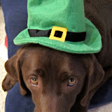 Happy St. Patrick's Day!