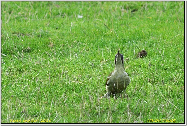 Bradgate Park - October