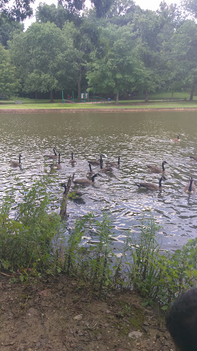 Park «Allen Pond Park», reviews and photos, 3330 Northview Dr, Bowie, MD 20716, USA