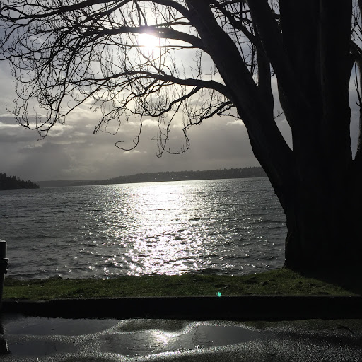 Park «Seward Park», reviews and photos, 5900 Lake Washington Blvd S, Seattle, WA 98118, USA